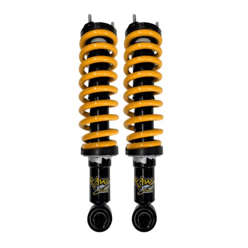 PRE-ASSEMBLED STRUT