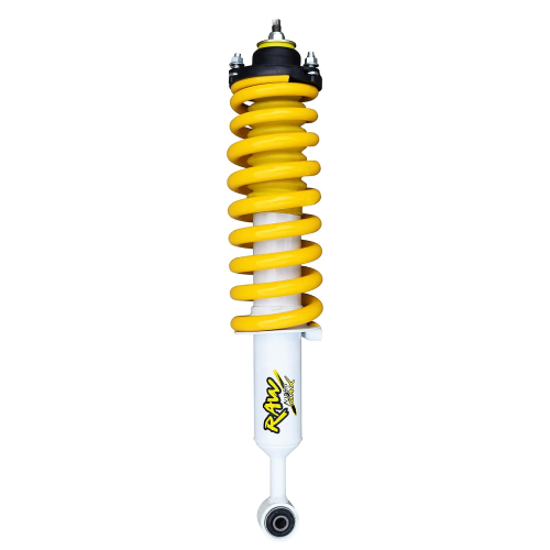 PRE-ASSEMBLED STRUT - NITRO